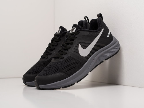 Кроссовки Nike Air Pegasus +30