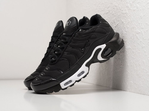 Кроссовки Nike Air Max Plus TN