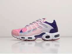 Кроссовки Nike Air Max Terrascape Plus