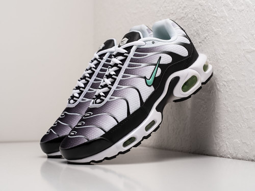 Кроссовки Nike Air Max Plus TN