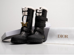 Зимние Ботинки Dior D Venture Leather