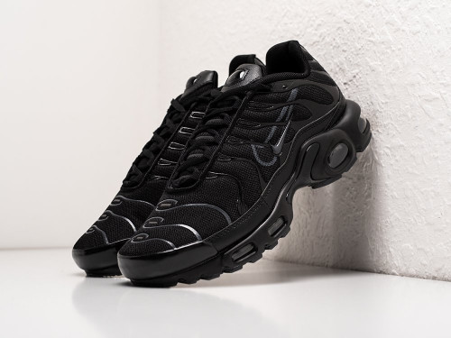 Кроссовки Nike Air Max Plus TN