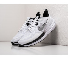 Кроссовки Nike Zoom Winflo 9