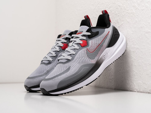 Кроссовки Nike Zoom Winflo 9