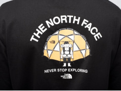 Футболка The North Face