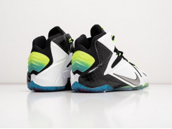 Кроссовки Nike Lebron 12