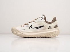 Кроссовки Nike ACG Mountain Fly 2 Low