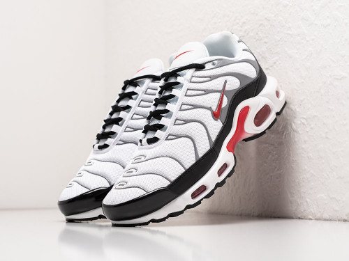 Кроссовки Nike Air Max Plus TN