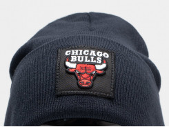 Шапка Chicago Bulls