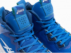 Кроссовки Asics Nova Surge 2