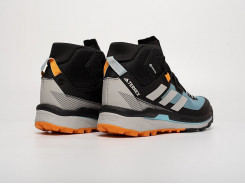 Кроссовки Adidas Terrex Skychaser Tech Mid Gtx