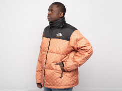 Куртка The North Face x Gucci