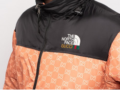 Куртка The North Face x Gucci