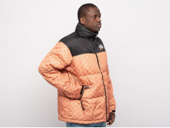 Куртка The North Face x Gucci