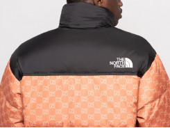 Куртка The North Face x Gucci