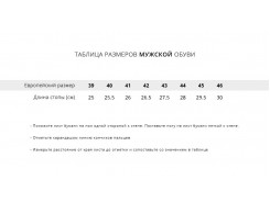 Кроссовки Nike Free 3.0 V3