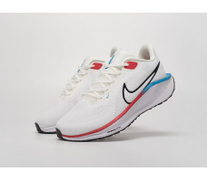 Кроссовки Nike Air Zoom Pegasus 41