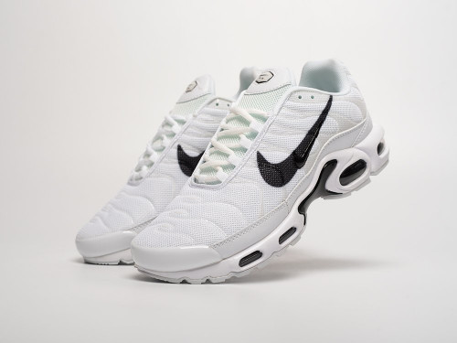 Кроссовки Nike Air Max Plus TN