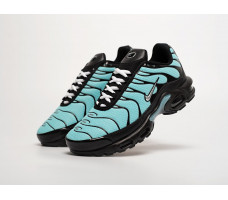 Кроссовки Nike Air Max Plus TN