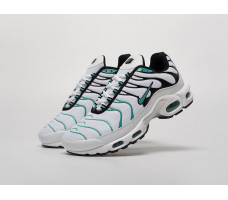 Кроссовки Nike Air Max Plus TN