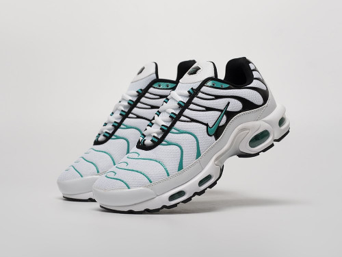 Кроссовки Nike Air Max Plus TN