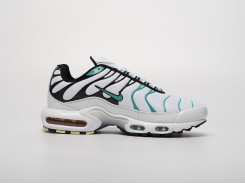 Кроссовки Nike Air Max Plus TN