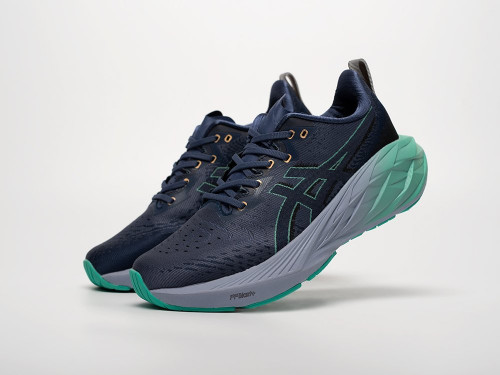 Кроссовки Asics Novablast 4