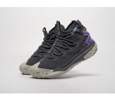 Кроссовки Nike ACG Mountain Fly 2 Mid GTX