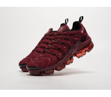 Кроссовки Nike Air VaporMax Plus