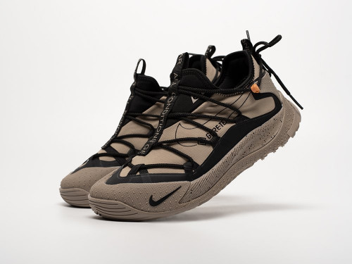 Кроссовки Nike ACG Air Terra Antarktik Low