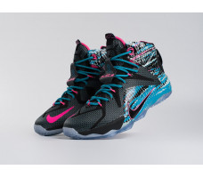 Кроссовки Nike Lebron 12