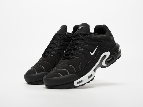 Кроссовки Nike Air Max Plus TN