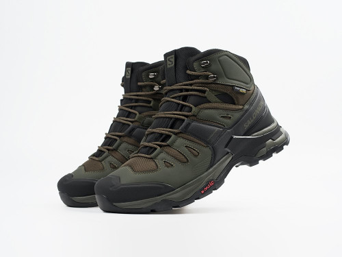 Зимние Ботинки Salomon Quest 4 GTX