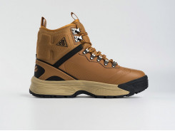 Зимние Ботинки Nike AСG Air Zoom Gaiadome GORE-TEX