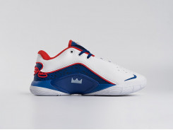 Кроссовки Nike Lebron XXII