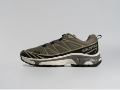 Кроссовки Salomon ADVANCED XT-6 ADV