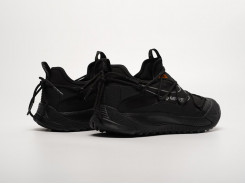 Кроссовки Nike ACG Air Terra Antarktik Low