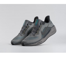 Кроссовки Nike Air Zoom Pegasus 41