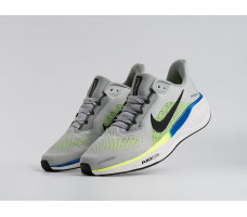 Кроссовки Nike Air Zoom Pegasus 41