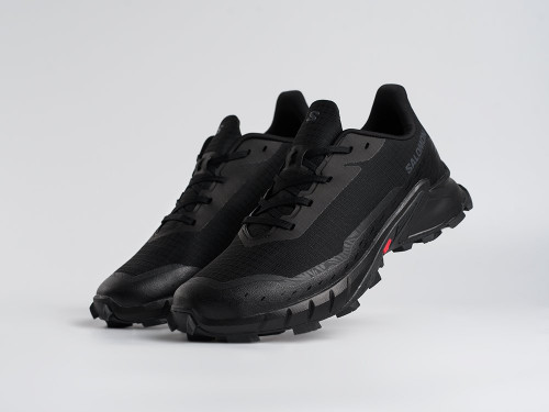 Кроссовки Salomon Alphacross 5 GTX