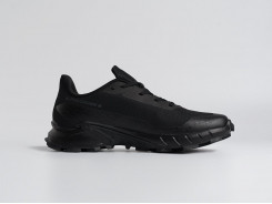 Кроссовки Salomon Alphacross 5 GTX