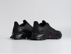 Кроссовки Salomon Alphacross 5 GTX