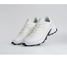 Кроссовки Salomon Alphacross 5 GTX