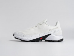 Кроссовки Salomon Alphacross 5 GTX