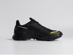 Кроссовки Salomon Alphacross 5 GTX
