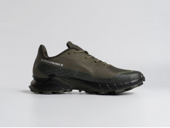 Кроссовки Salomon Alphacross 5 GTX