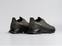 Кроссовки Salomon Alphacross 5 GTX