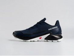 Кроссовки Salomon Alphacross 5 GTX
