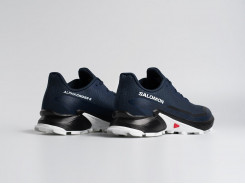 Кроссовки Salomon Alphacross 5 GTX