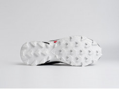 Кроссовки Salomon Alphacross 5 GTX